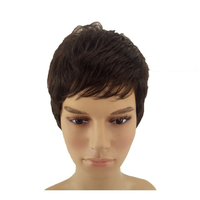 HAIRJOY Women Men Synthetic Wig Short Curly Layered Haircut Brown Costume Wig Free Shipping 4 Colors Available