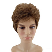 HAIRJOY Women Men Synthetic Wig Short Curly Layered Haircut Brown Costume Wig Free Shipping 4 Colors Available