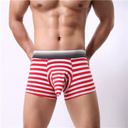 Brand Man Underwear Boxer Shorts With Big Elephant Sexy Underpants Cueca Cotton Pants Trunks Boxer Gay Male Panties Dropshipping